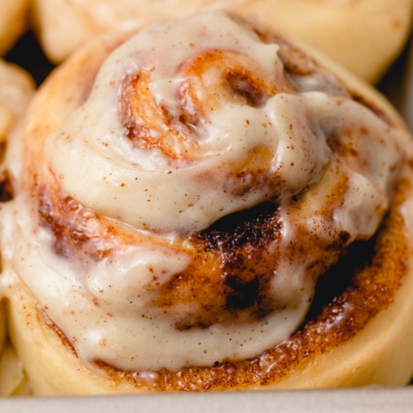 Cinnamon Rolls